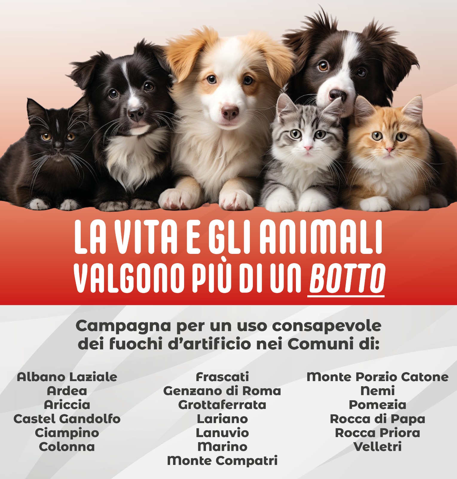 La vita e gli animali valgono più di un botto!